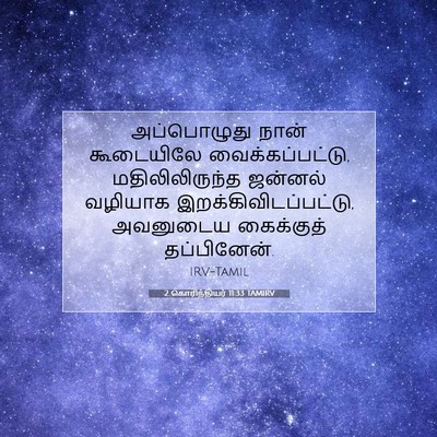 Picture 07 - 2 கொரிந்தியர் 11:33 TAMIRV - அப்பொழுது நான் - Bible Verse Picture