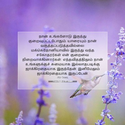 Picture 07 - 2 கொரிந்தியர் 11:9 TAMIRV - நான் உங்களோடு - Bible Verse Picture
