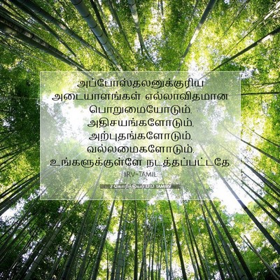 Picture 07 - 2 கொரிந்தியர் 12:12 TAMIRV -  - Bible Verse Picture
