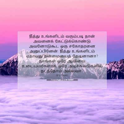 Picture 07 - 2 கொரிந்தியர் 12:18 TAMIRV - தீத்து உங்களிடம் - Bible Verse Picture