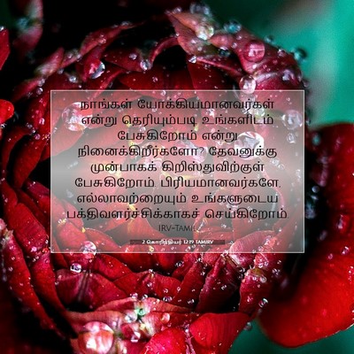 Picture 07 - 2 கொரிந்தியர் 12:19 TAMIRV - நாங்கள் - Bible Verse Picture