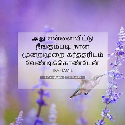 Picture 07 - 2 கொரிந்தியர் 12:8 TAMIRV - அது என்னைவிட்டு - Bible Verse Picture