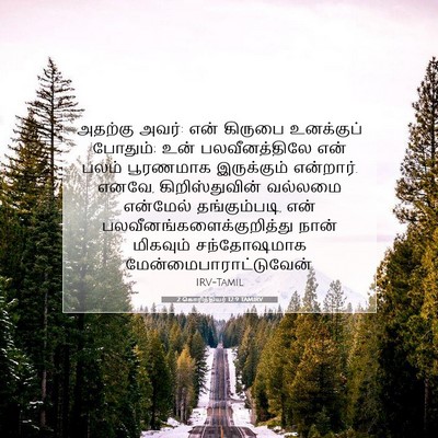 Picture 07 - 2 கொரிந்தியர் 12:9 TAMIRV - அதற்கு அவர்: என் - Bible Verse Picture
