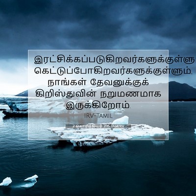 Picture 07 - 2 கொரிந்தியர் 2:15 TAMIRV -  - Bible Verse Picture