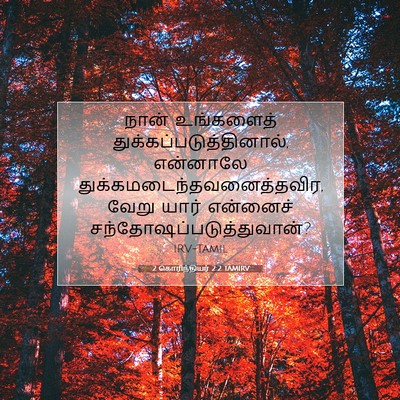 Picture 07 - 2 கொரிந்தியர் 2:2 TAMIRV - நான் உங்களைத் - Bible Verse Picture
