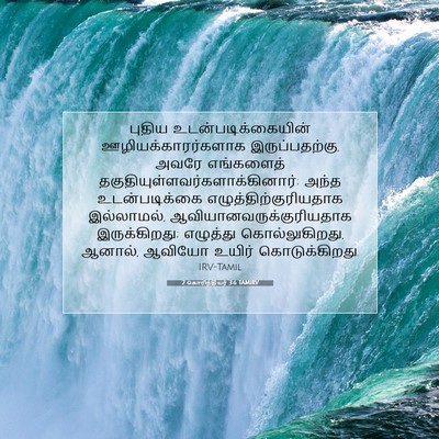 Picture 07 - 2 கொரிந்தியர் 3:6 TAMIRV - புதிய - Bible Verse Picture