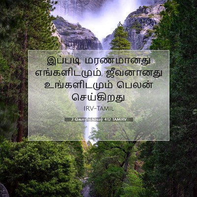 Picture 07 - 2 கொரிந்தியர் 4:12 TAMIRV - இப்படி மரணமானது - Bible Verse Picture