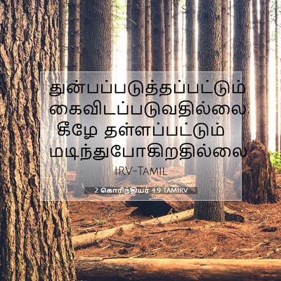 Picture 07 - 2 கொரிந்தியர் 4:9 TAMIRV -  - Bible Verse Picture