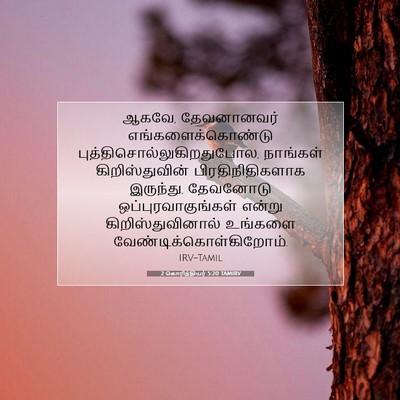 Picture 07 - 2 கொரிந்தியர் 5:20 TAMIRV - ஆகவே, தேவனானவர் - Bible Verse Picture