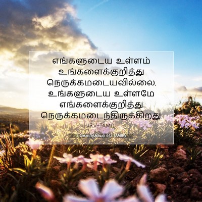 Picture 07 - 2 கொரிந்தியர் 6:12 TAMIRV - எங்களுடைய உள்ளம் - Bible Verse Picture