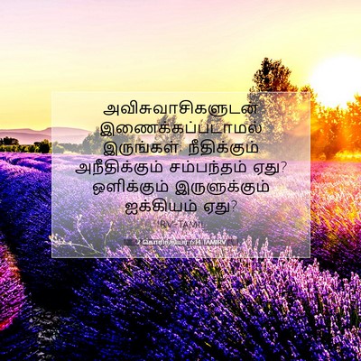 Picture 07 - 2 கொரிந்தியர் 6:14 TAMIRV - அவிசுவாசிகளுடன் - Bible Verse Picture