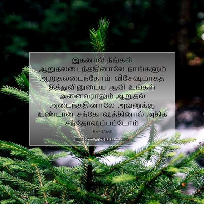Picture 07 - 2 கொரிந்தியர் 7:13 TAMIRV - இதனால் நீங்கள் - Bible Verse Picture