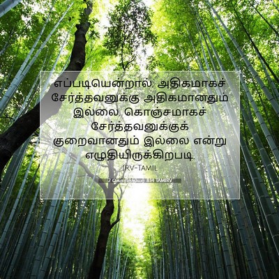 Picture 07 - 2 கொரிந்தியர் 8:14 TAMIRV - எப்படியென்றால், - Bible Verse Picture