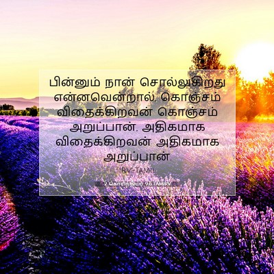 Picture 07 - 2 கொரிந்தியர் 9:6 TAMIRV - பின்னும் நான் - Bible Verse Picture