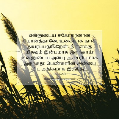 Picture 07 - 2 சாமுவேல் 1:26 TAMIRV - என்னுடைய சகோதரனான - Bible Verse Picture