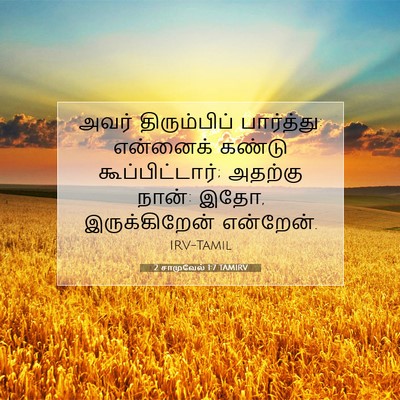 Picture 07 - 2 சாமுவேல் 1:7 TAMIRV - அவர் திரும்பிப் - Bible Verse Picture