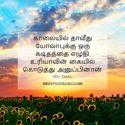 Picture 07 - 2 சாமுவேல் 11:14 TAMIRV - காலையில் தாவீது - Bible Verse Picture