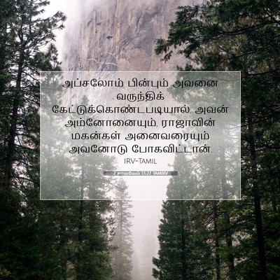 Picture 07 - 2 சாமுவேல் 13:27 TAMIRV - அப்சலோம் பின்பும் - Bible Verse Picture