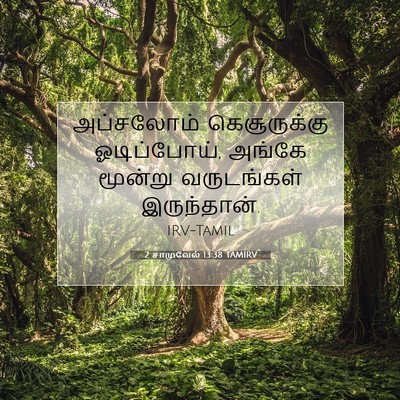 Picture 07 - 2 சாமுவேல் 13:38 TAMIRV - அப்சலோம் - Bible Verse Picture