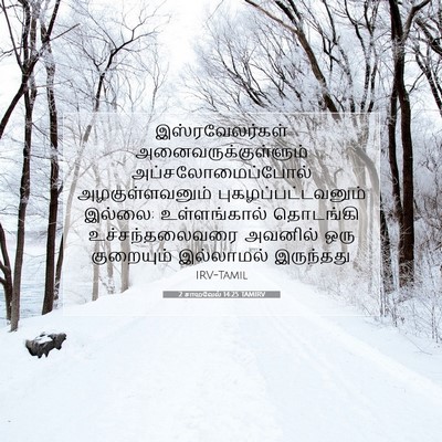 Picture 07 - 2 சாமுவேல் 14:25 TAMIRV - இஸ்ரவேலர்கள் - Bible Verse Picture