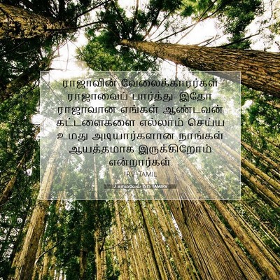 Picture 07 - 2 சாமுவேல் 15:15 TAMIRV - ராஜாவின் - Bible Verse Picture