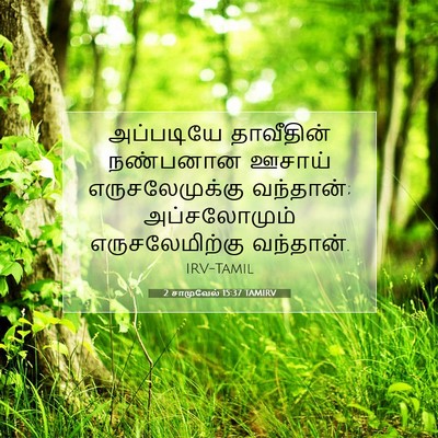 Picture 07 - 2 சாமுவேல் 15:37 TAMIRV - அப்படியே தாவீதின் - Bible Verse Picture