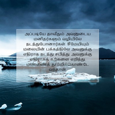 Picture 07 - 2 சாமுவேல் 16:13 TAMIRV - அப்படியே தாவீதும் - Bible Verse Picture