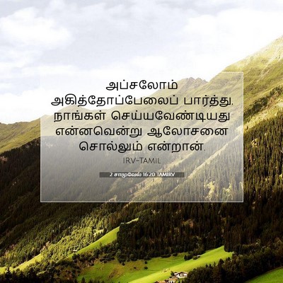 Picture 07 - 2 சாமுவேல் 16:20 TAMIRV - அப்சலோம் - Bible Verse Picture