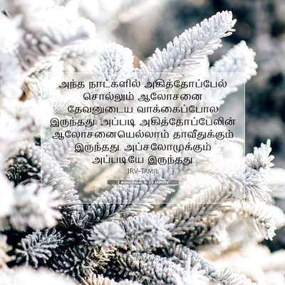 Picture 07 - 2 சாமுவேல் 16:23 TAMIRV - அந்த நாட்களில் - Bible Verse Picture