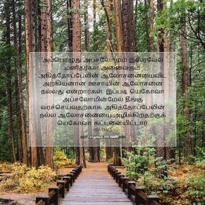 Picture 07 - 2 சாமுவேல் 17:14 TAMIRV - அப்பொழுது - Bible Verse Picture