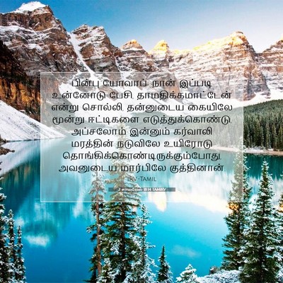 Picture 07 - 2 சாமுவேல் 18:14 TAMIRV - பின்பு யோவாப்: - Bible Verse Picture