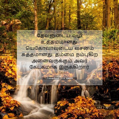 Picture 07 - 2 சாமுவேல் 22:31 TAMIRV - தேவனுடைய வழி - Bible Verse Picture