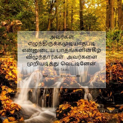 Picture 07 - 2 சாமுவேல் 22:39 TAMIRV - அவர்கள் - Bible Verse Picture