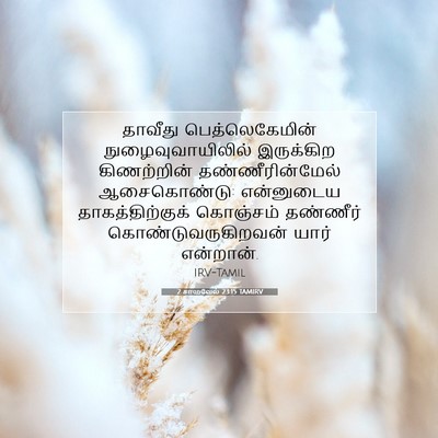 Picture 07 - 2 சாமுவேல் 23:15 TAMIRV - தாவீது - Bible Verse Picture