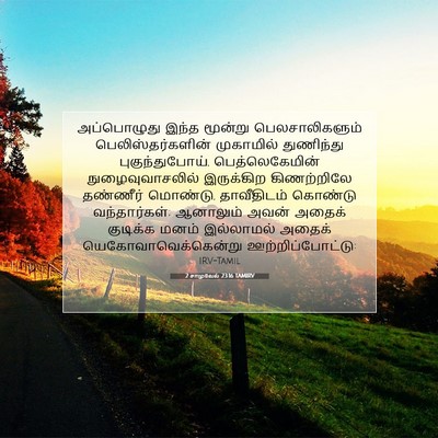 Picture 07 - 2 சாமுவேல் 23:16 TAMIRV - அப்பொழுது இந்த - Bible Verse Picture