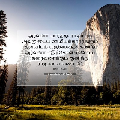 Picture 07 - 2 சாமுவேல் 24:20 TAMIRV - அர்வனா பார்த்து: - Bible Verse Picture