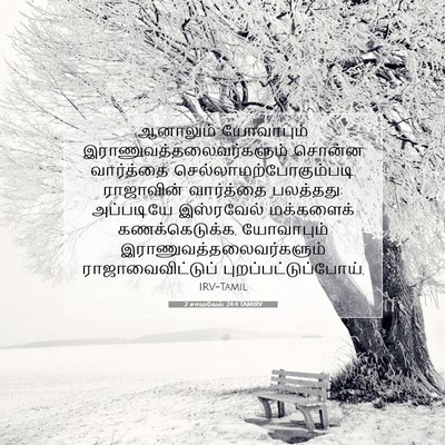 Picture 07 - 2 சாமுவேல் 24:4 TAMIRV - ஆனாலும் யோவாபும் - Bible Verse Picture