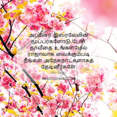 Picture 07 - 2 சாமுவேல் 3:17 TAMIRV - அப்னேர் - Bible Verse Picture