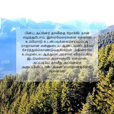 Picture 07 - 2 சாமுவேல் 3:21 TAMIRV - பின்பு அப்னேர் - Bible Verse Picture