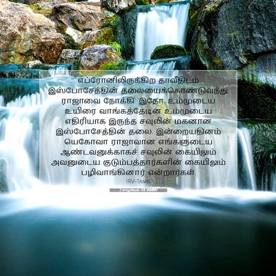 Picture 07 - 2 சாமுவேல் 4:8 TAMIRV - எப்ரோனிலிருக்கிற - Bible Verse Picture