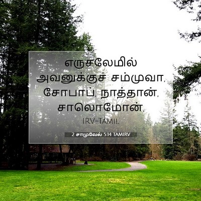 Picture 07 - 2 சாமுவேல் 5:14 TAMIRV - எருசலேமில் - Bible Verse Picture