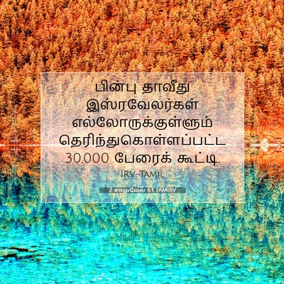 Picture 07 - 2 சாமுவேல் 6:1 TAMIRV - பின்பு தாவீது - Bible Verse Picture