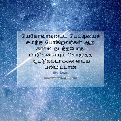 Picture 07 - 2 சாமுவேல் 6:13 TAMIRV - யெகோவாவுடைய - Bible Verse Picture