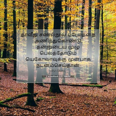 Picture 07 - 2 சாமுவேல் 6:14 TAMIRV - தாவீது சணல்நூல் - Bible Verse Picture