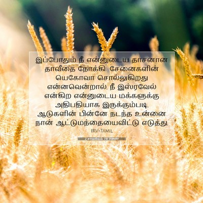 Picture 07 - 2 சாமுவேல் 7:8 TAMIRV - இப்போதும் நீ - Bible Verse Picture