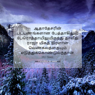 Picture 07 - 2 சாமுவேல் 8:8 TAMIRV - ஆதாதேசரின் - Bible Verse Picture