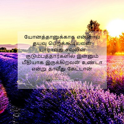 Picture 07 - 2 சாமுவேல் 9:1 TAMIRV - யோனத்தானுக்காக - Bible Verse Picture