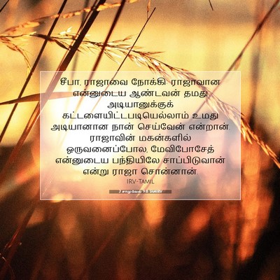 Picture 07 - 2 சாமுவேல் 9:11 TAMIRV - சீபா, ராஜாவை - Bible Verse Picture
