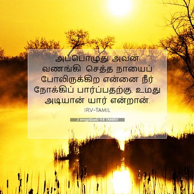 Picture 07 - 2 சாமுவேல் 9:8 TAMIRV - அப்பொழுது அவன் - Bible Verse Picture