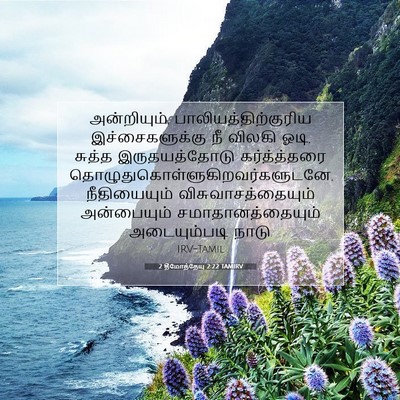 Picture 07 - 2 தீமோத்தேயு 2:22 TAMIRV - அன்றியும், - Bible Verse Picture